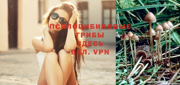 кокаин премиум Алексеевка